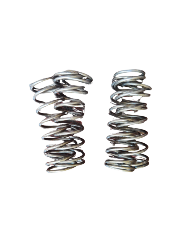Clutch Spring Set Bs2 Ape