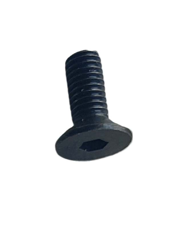 Black 4 Hole Plate Screw Ape